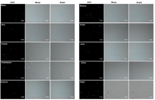 16957079452403.png 4.png