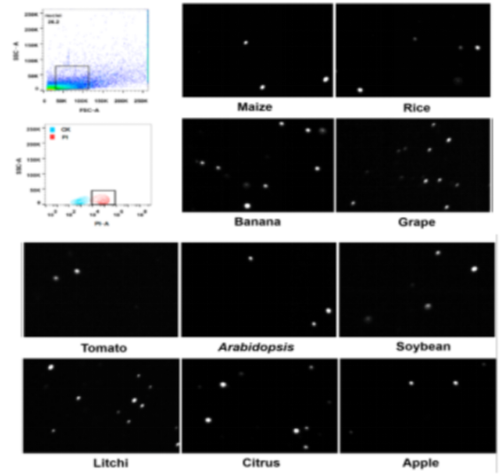 16957079596149.png 6.png