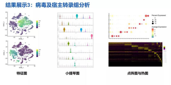 16957129028121.png 3.png