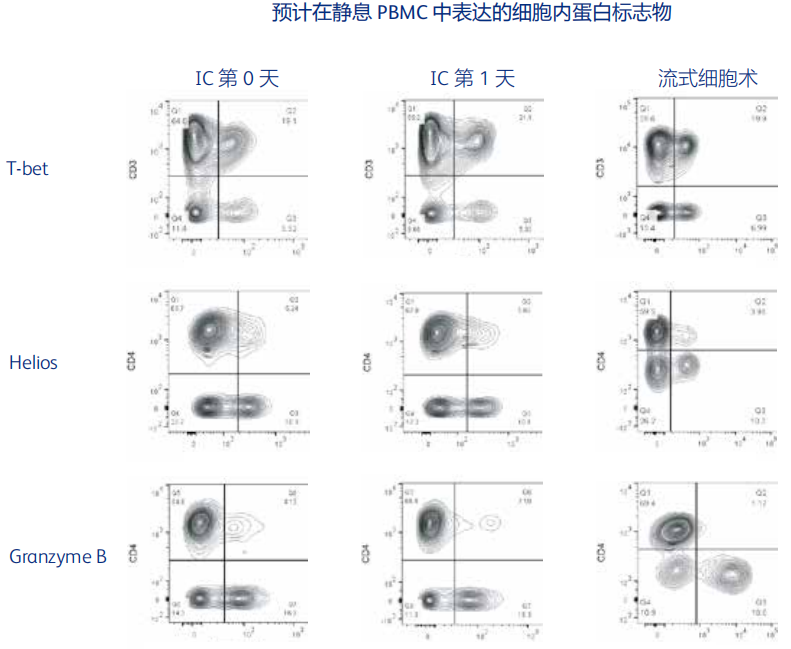 17363189278332.png 1.png