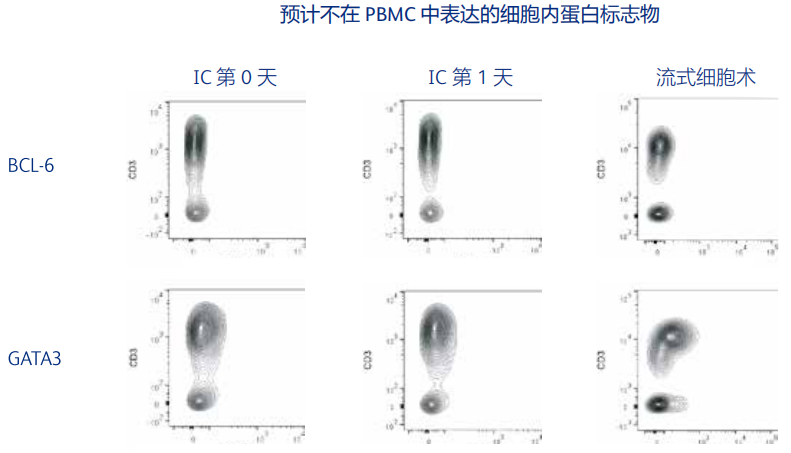 17363189347837.png 2.png