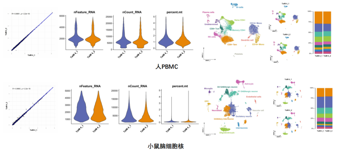 17363193183249.png 4.png