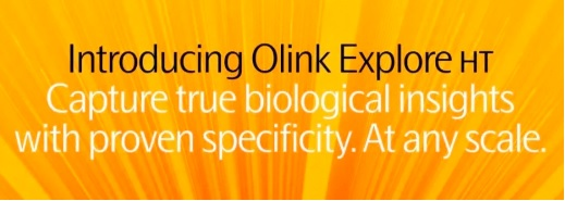 17367329011647.png 1.png