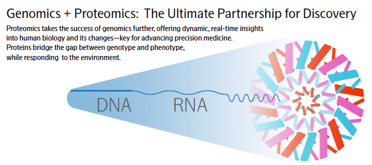 17397011765369.png 2.png