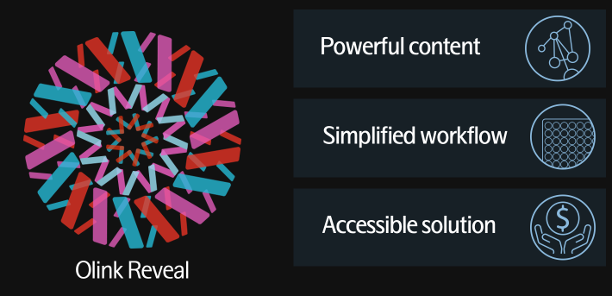 17397018236382.png 4.png