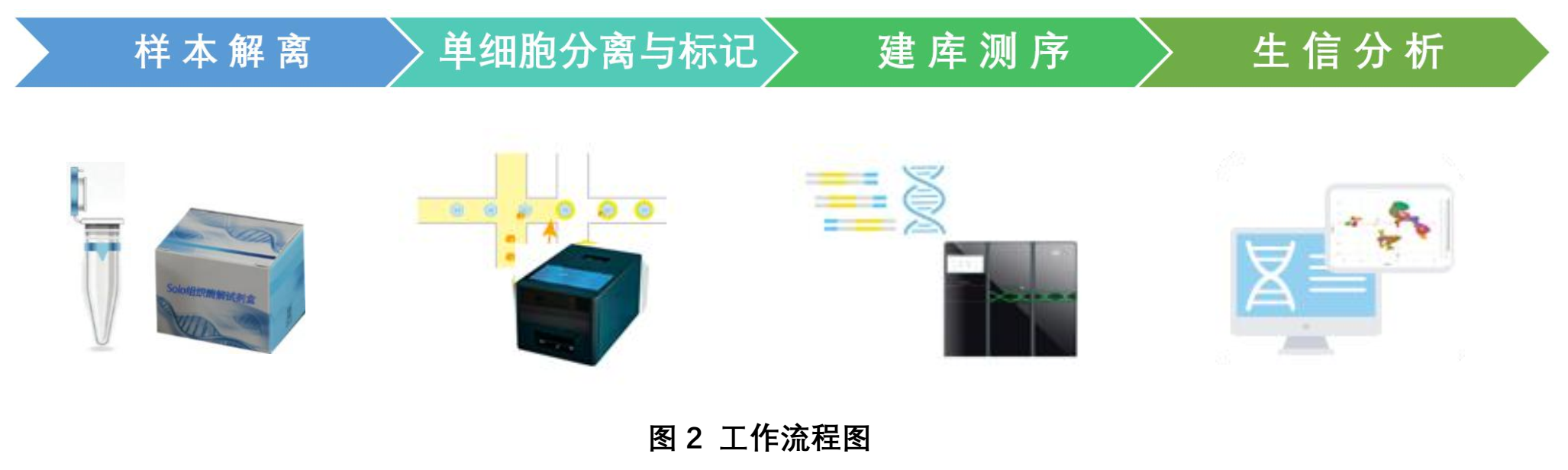 17581846607918.png e89e40d28c8e31ba80516fc3a690da7f.png