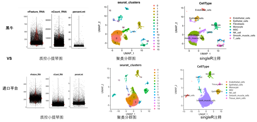 17584170463040.png 17584170463040.png